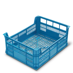 Caixa exportação frutas